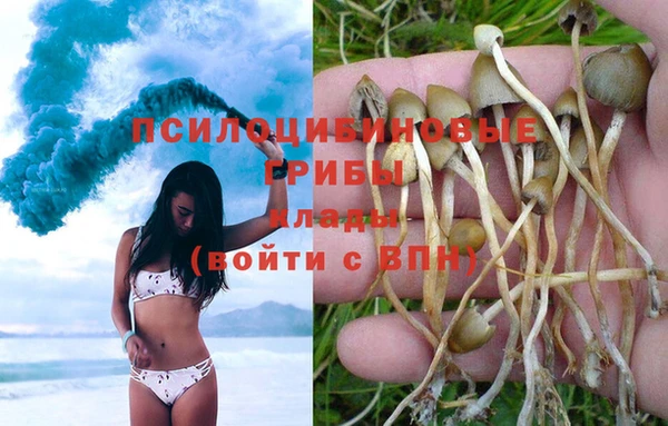 кокс Новокубанск