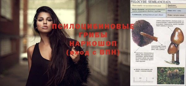 кокс Новокубанск