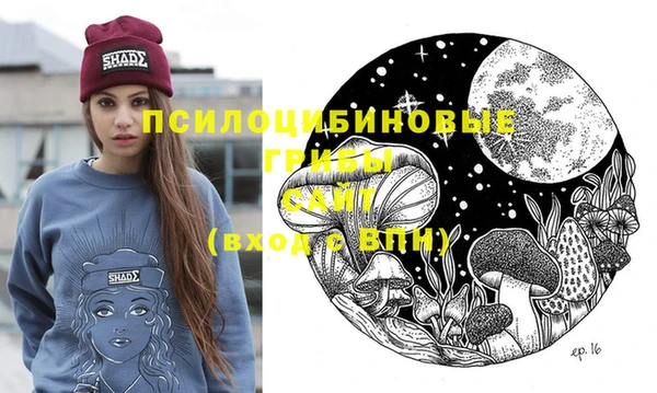 МДПВ Новодвинск